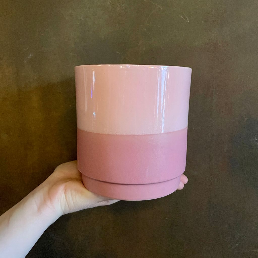 Colour Glaze Pots grow urban.