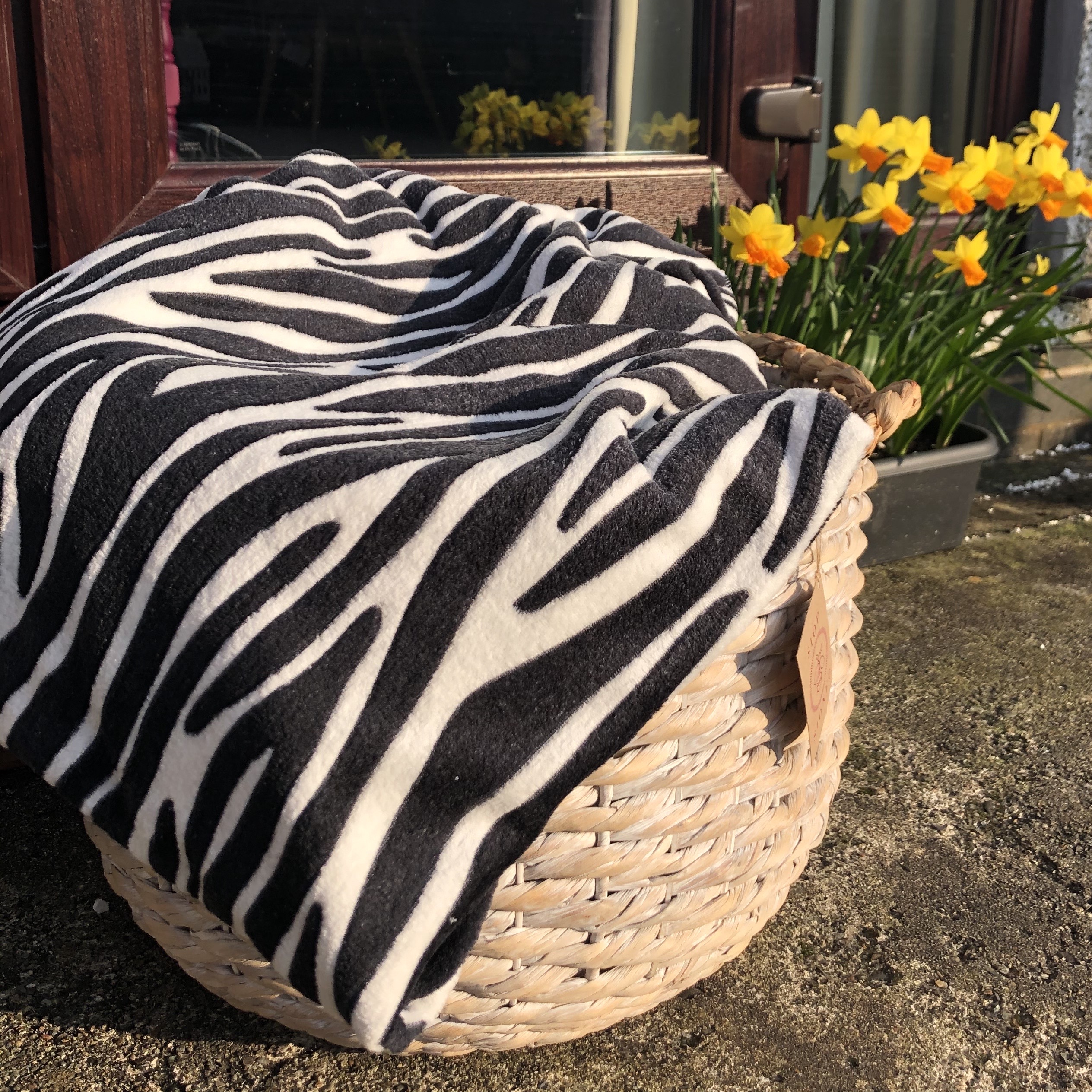 zebra print plush blanket