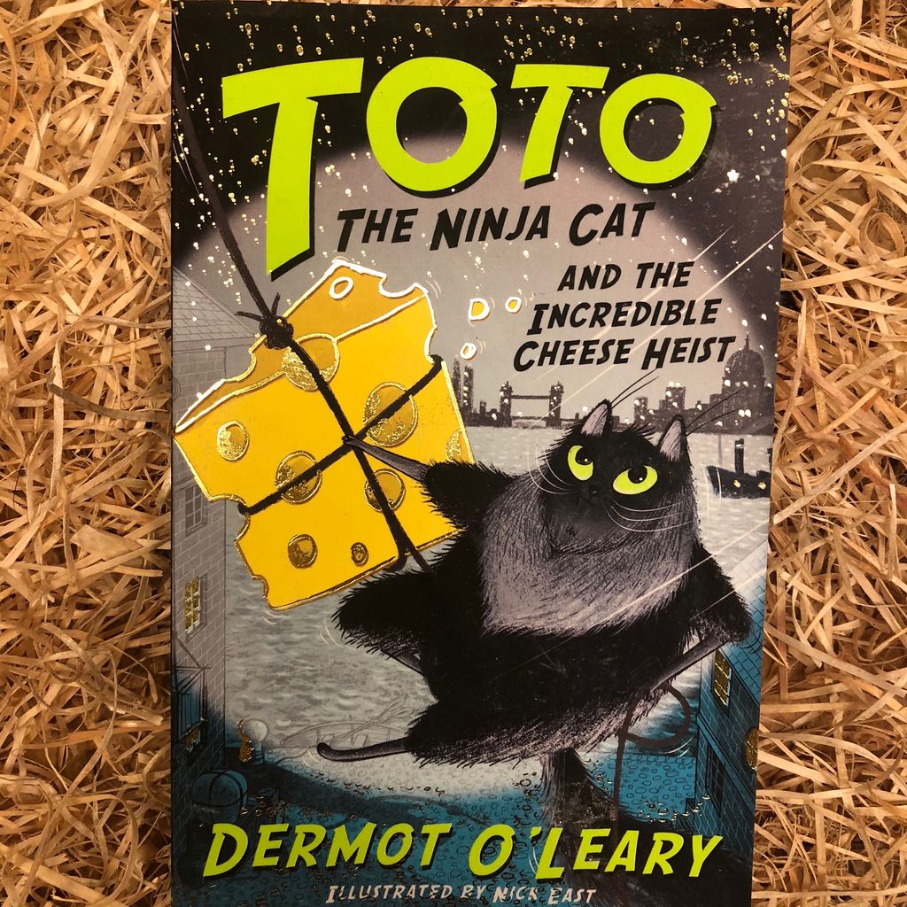 cat ninja book 6 cat ninja book 6