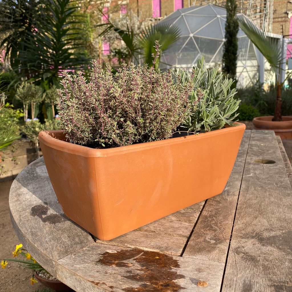 Terracotta Trough - 2 Sizes, 3 Colours - Walworth Garden