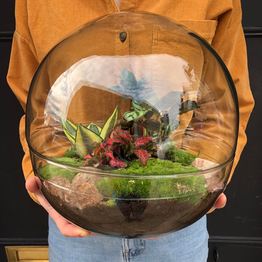 Bio Dome grow urban.