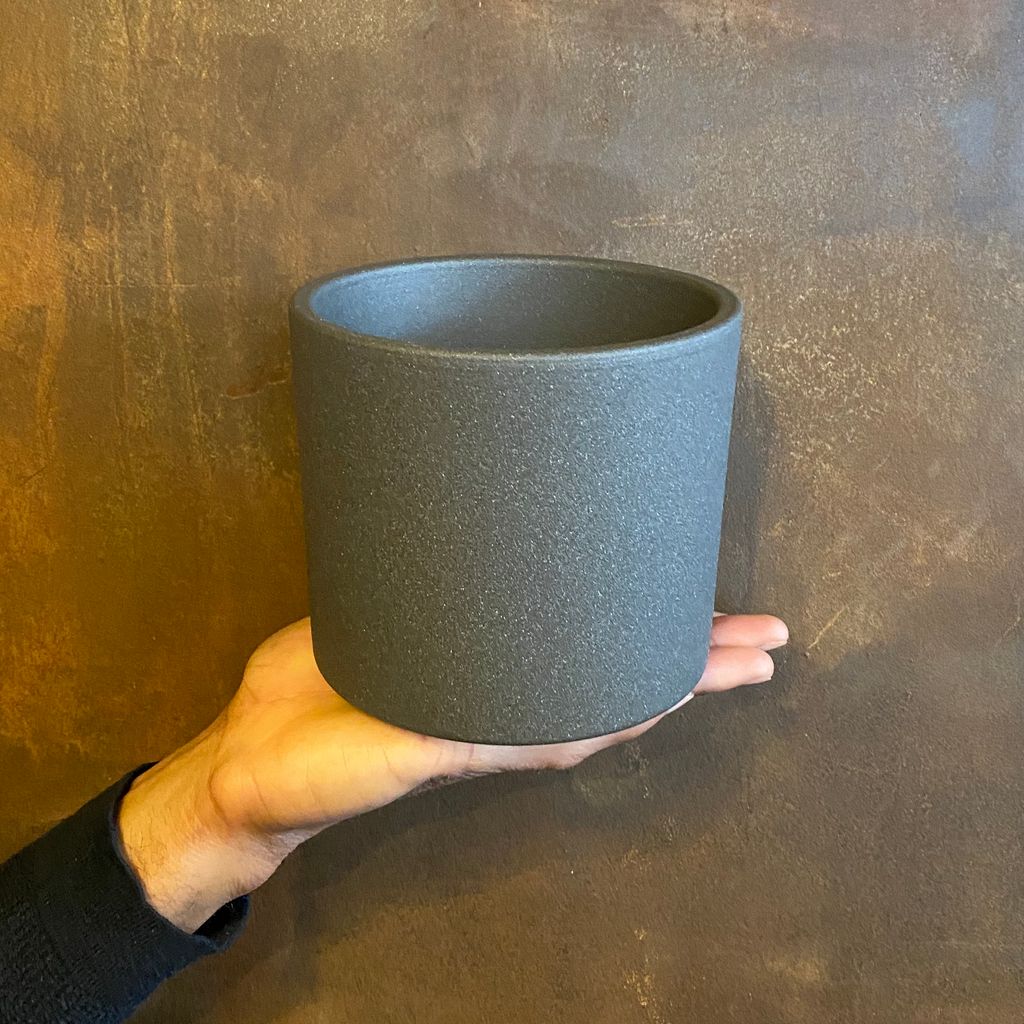 Grey Matt Pot grow urban.