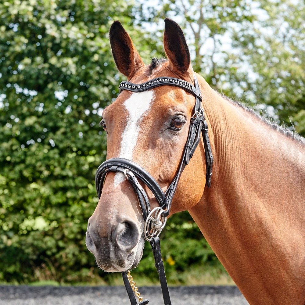 John Whitaker Lynton Flash Bridle With 2 Browbands