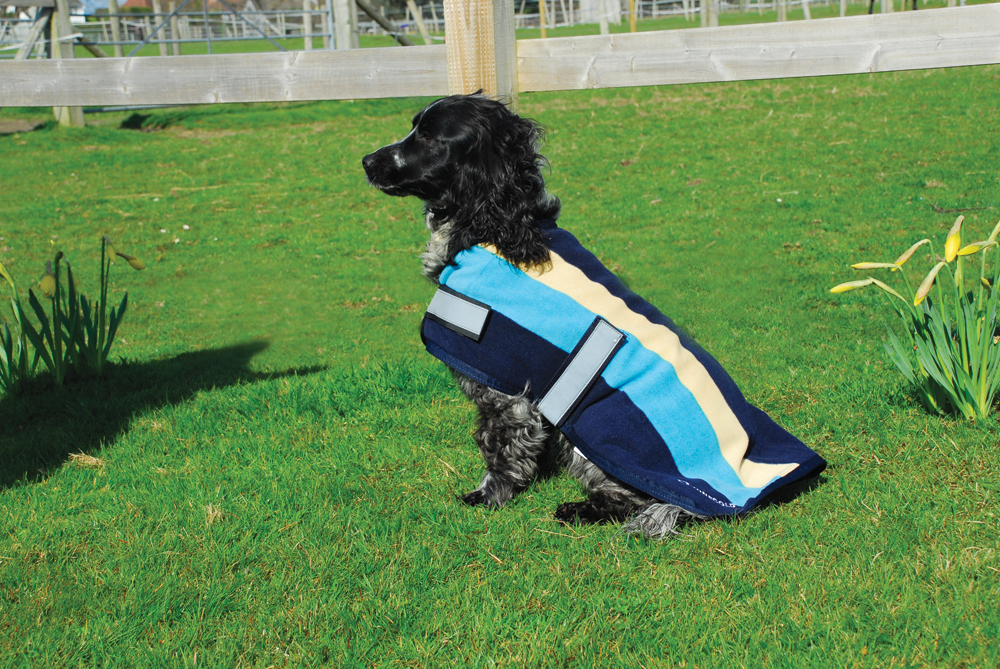 Rhinegold Fleece Stripe Dog Coat