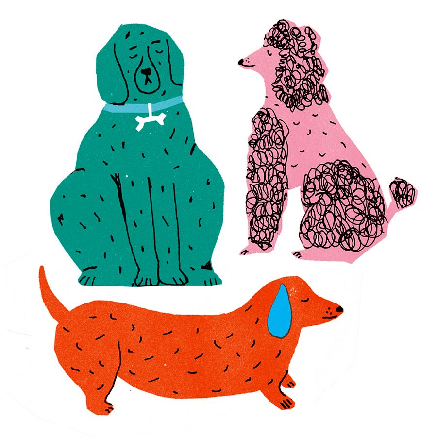 The Printed Peanut Stickers Hund BONNIE DELUXE