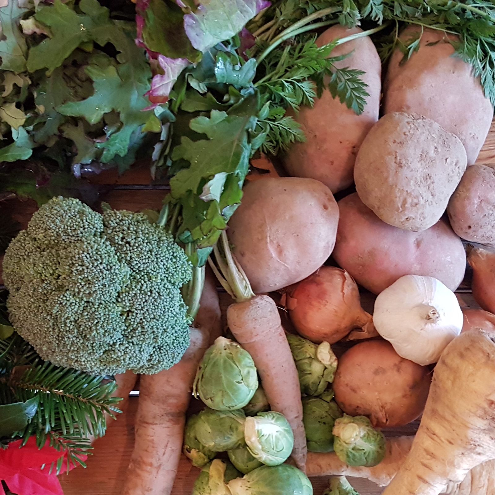 The christmas veg box, organic Christmas Organic Veg Box - Cultivate (Cwm Harry) Cyfyngedig