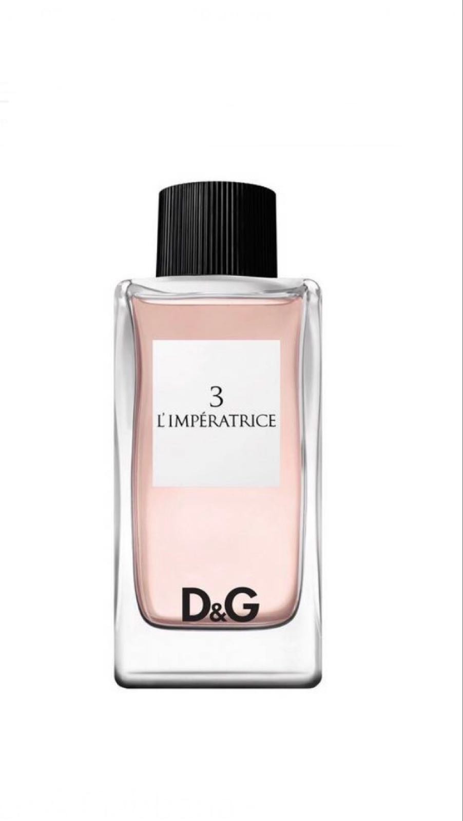 d&g king edt
