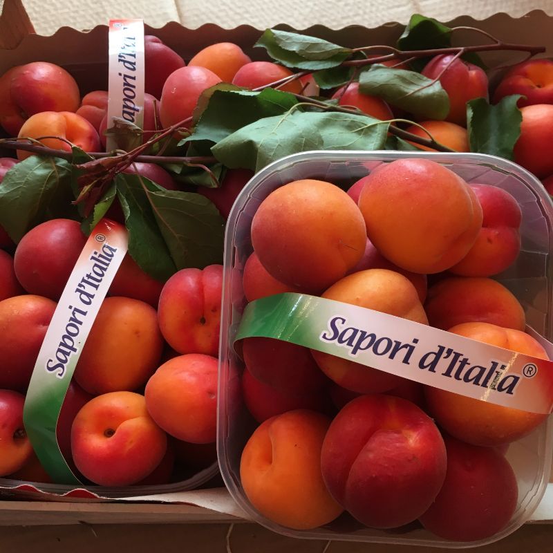 Apricots 300g