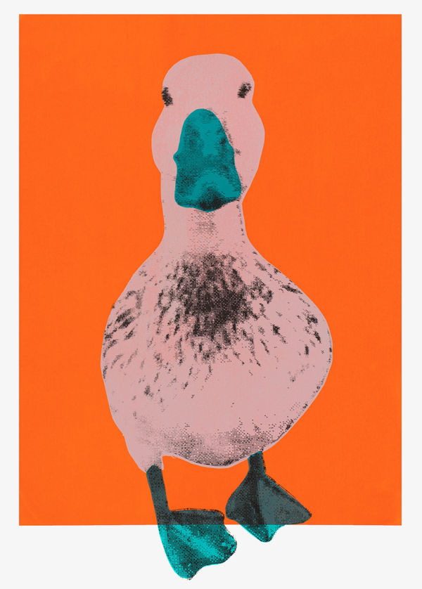 Duck a l'Orange