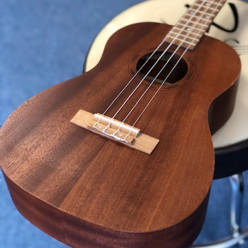Ukuleles For Sale Ebay