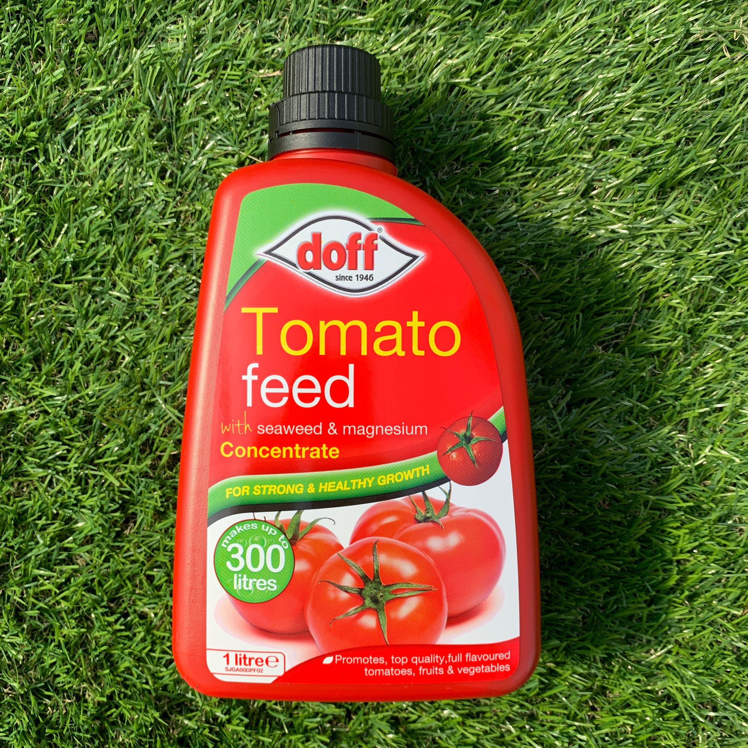 tomato focus