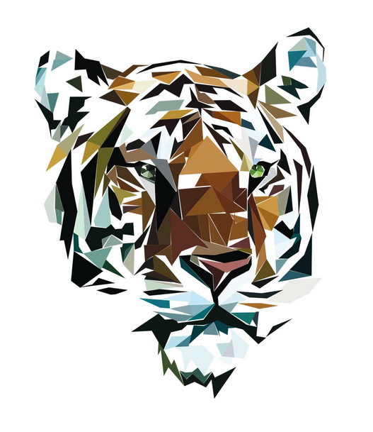 Ainoa Graphic Design: Tiger-postikortti