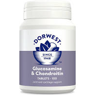Dorwest Glucosamine & Chondroitin 100 tablets