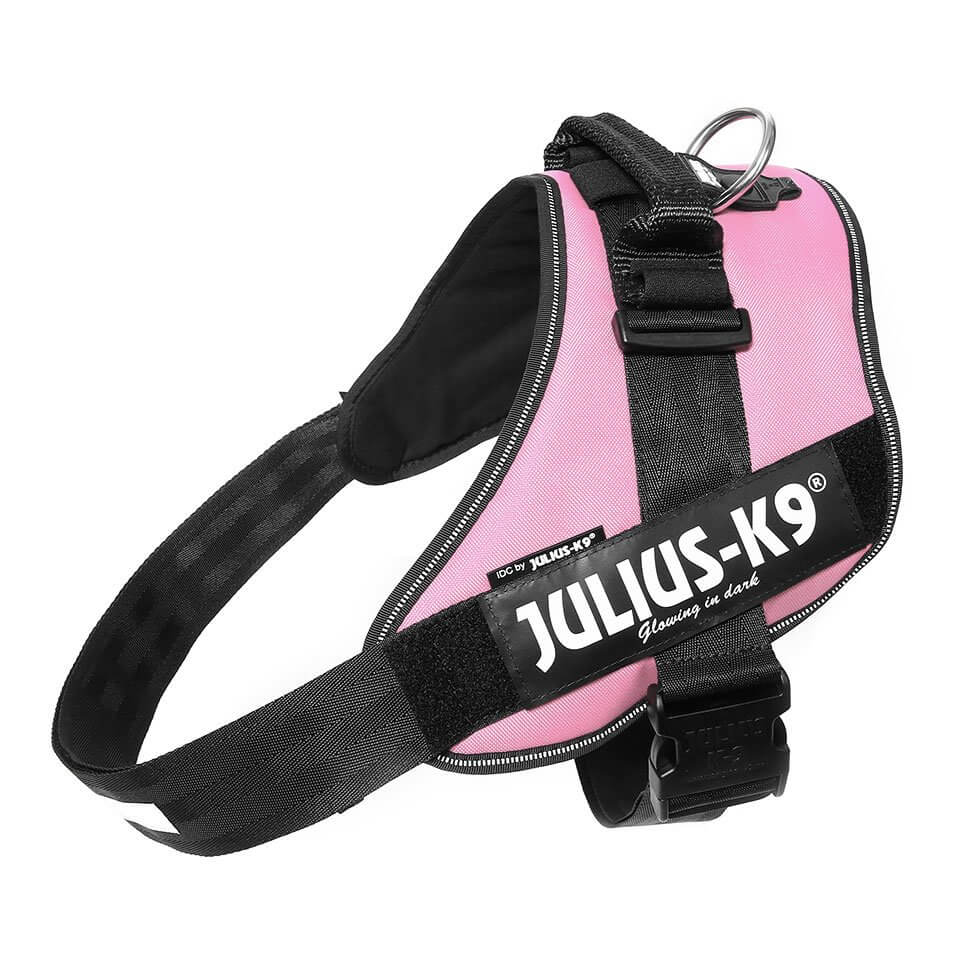 Julius K9 Harness Pink