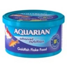 Aquarian Gold Fish