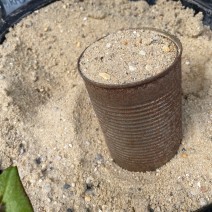 Horticultural Sand Scoop