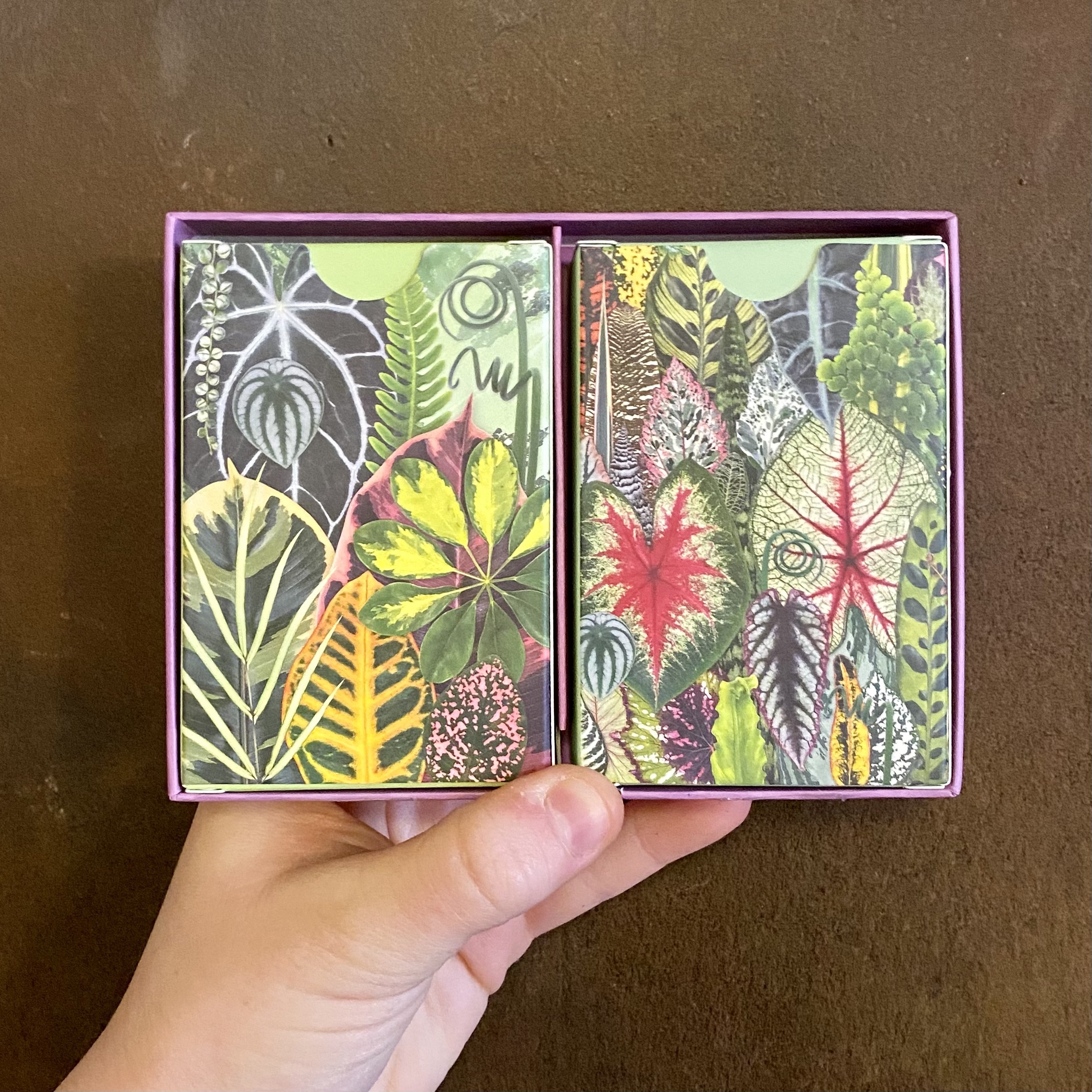Houseplant Jungle Playing Cards grow urban.
