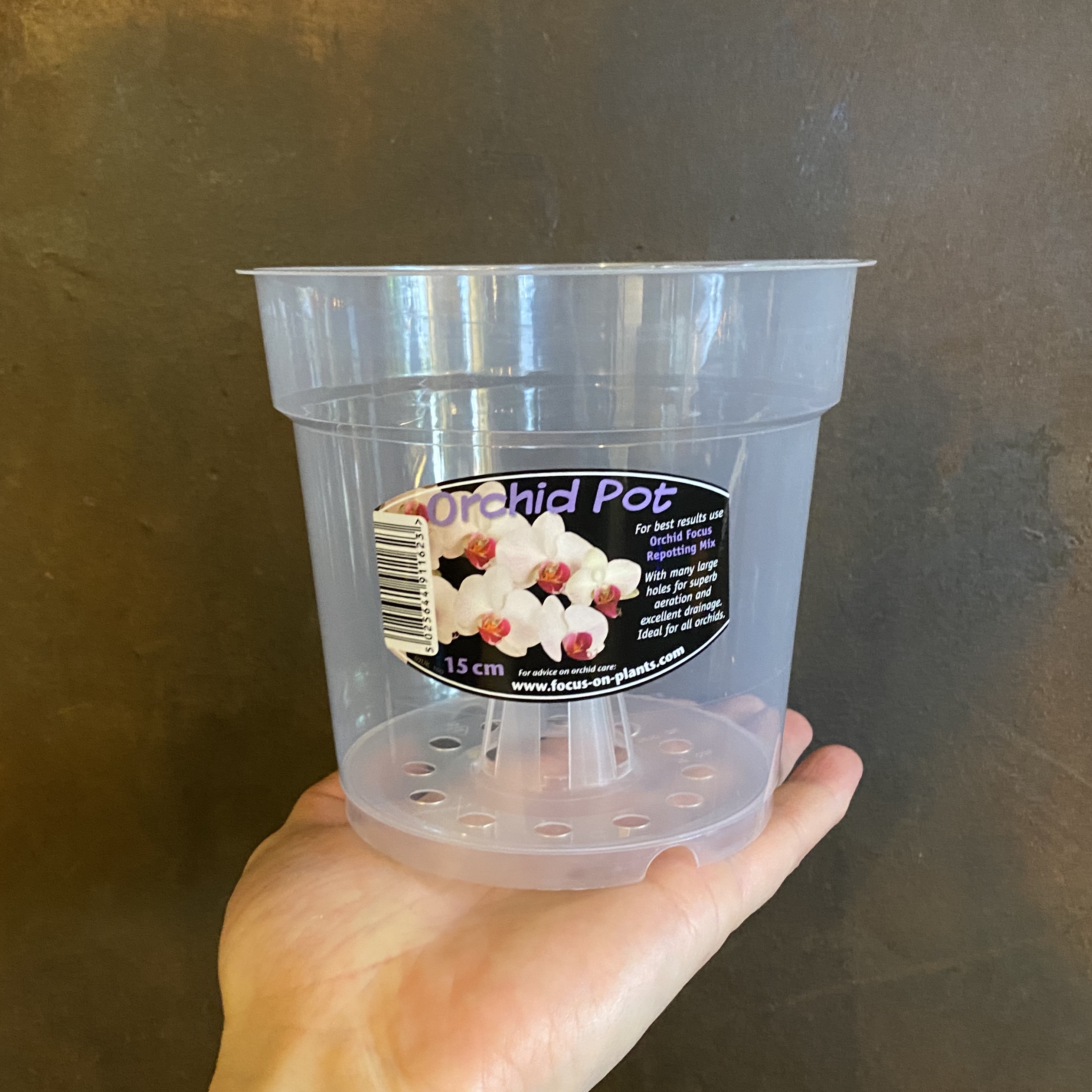 Orchid Clear Pots grow urban.