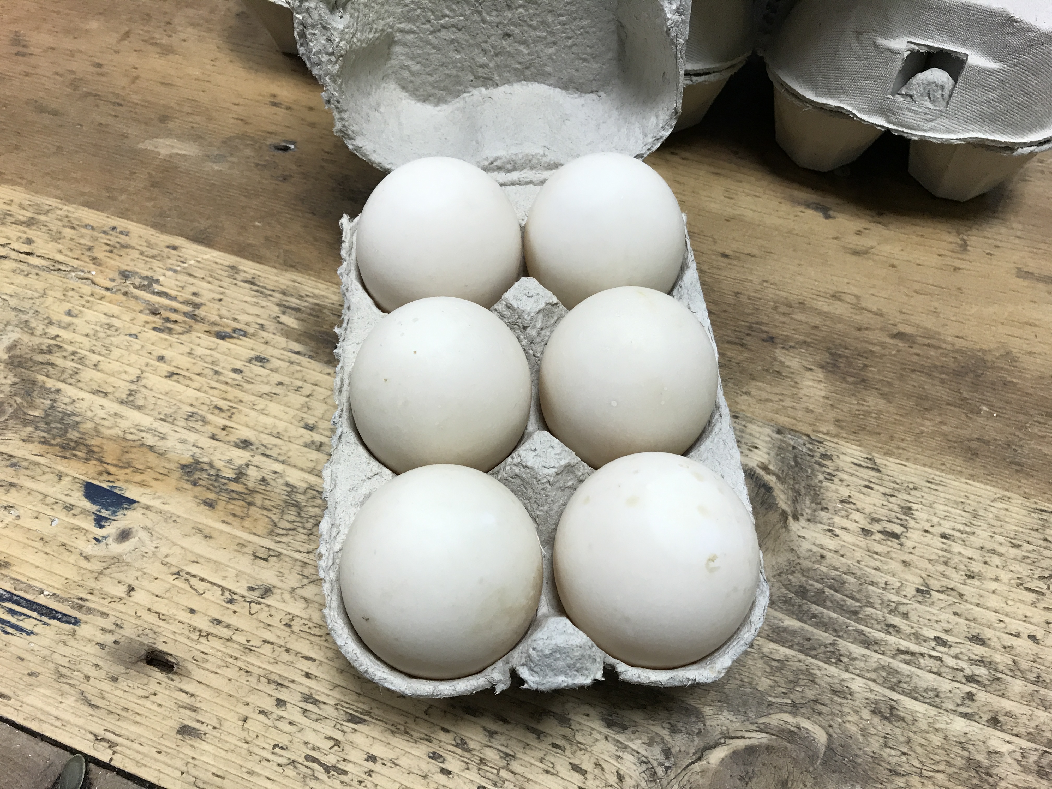 6 Free Range Duck Eggs