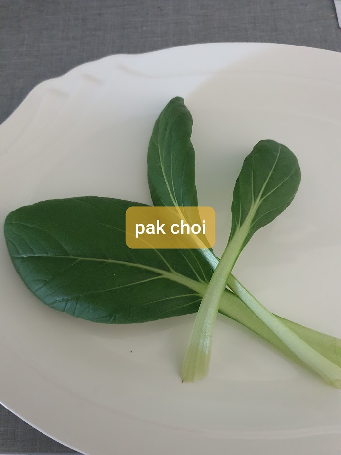 Skördad Pak Choi 100 gram levereras i sockerrörspåse 