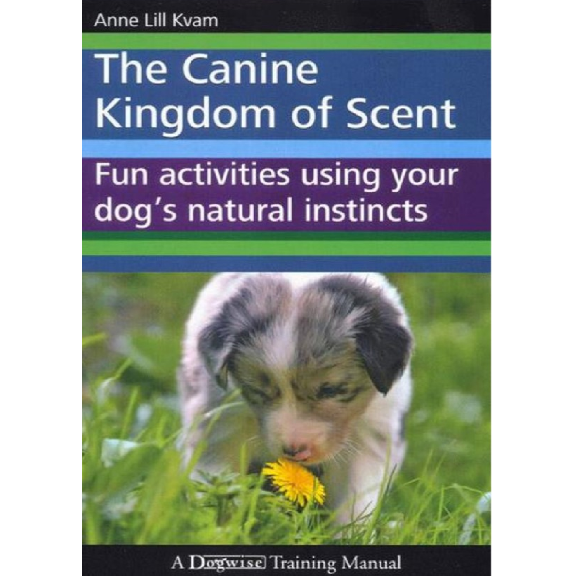 The Canine Kingdom Of Scent - Fun Activities Using Your Dog's Natural Instincts