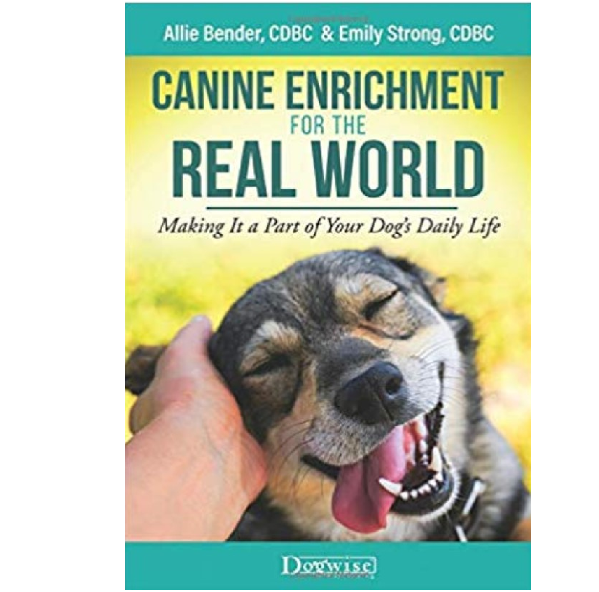 Canine Enrichment for the Real World