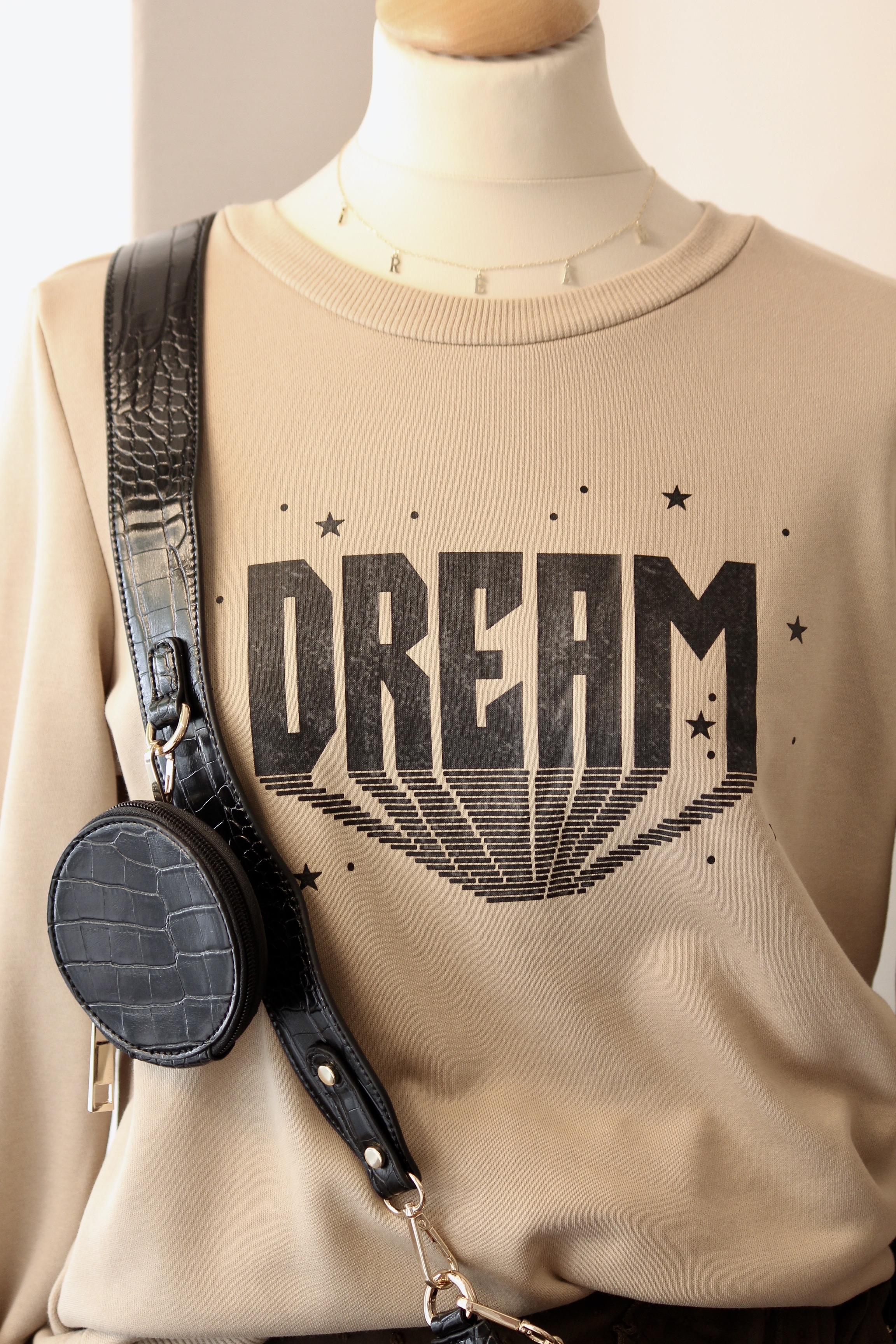 Sweatshirt "DREAM"