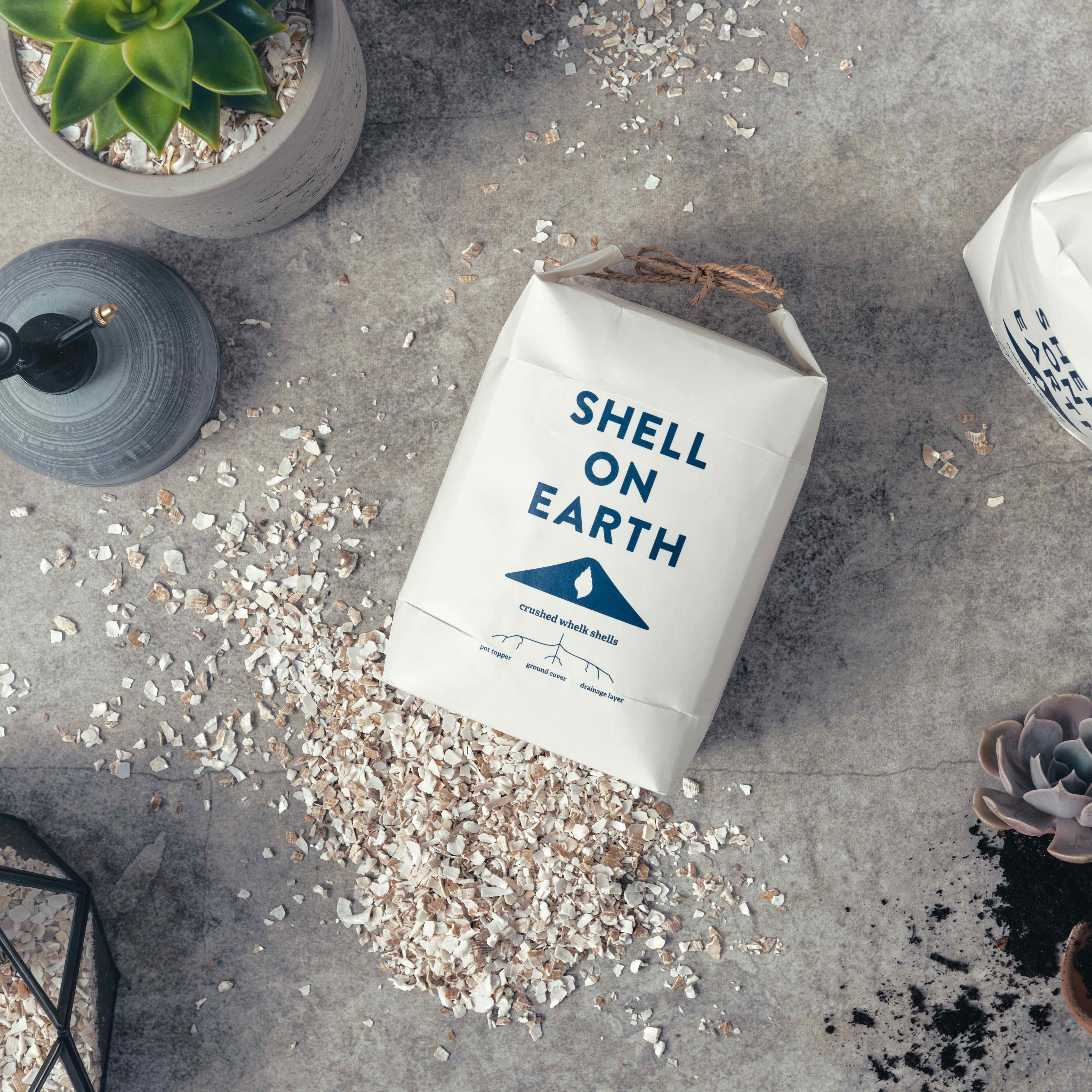 Shell On Earth crushed whelk shells