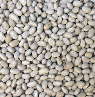 Haricot Beans | 1kg