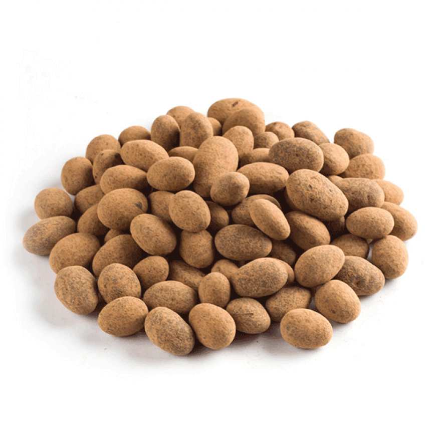 Chocolate Coated Almonds | Organic | The Raw Chocolate Company | DISCOUNTED