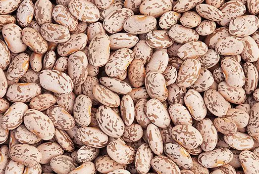 Pinto Beans | 1kg