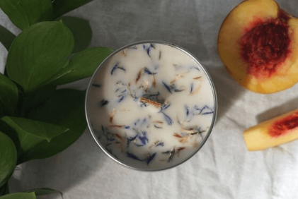 Wild Bluebell and Peach Blossom Soy Candle | Vegan from Belle Isle Botanicals