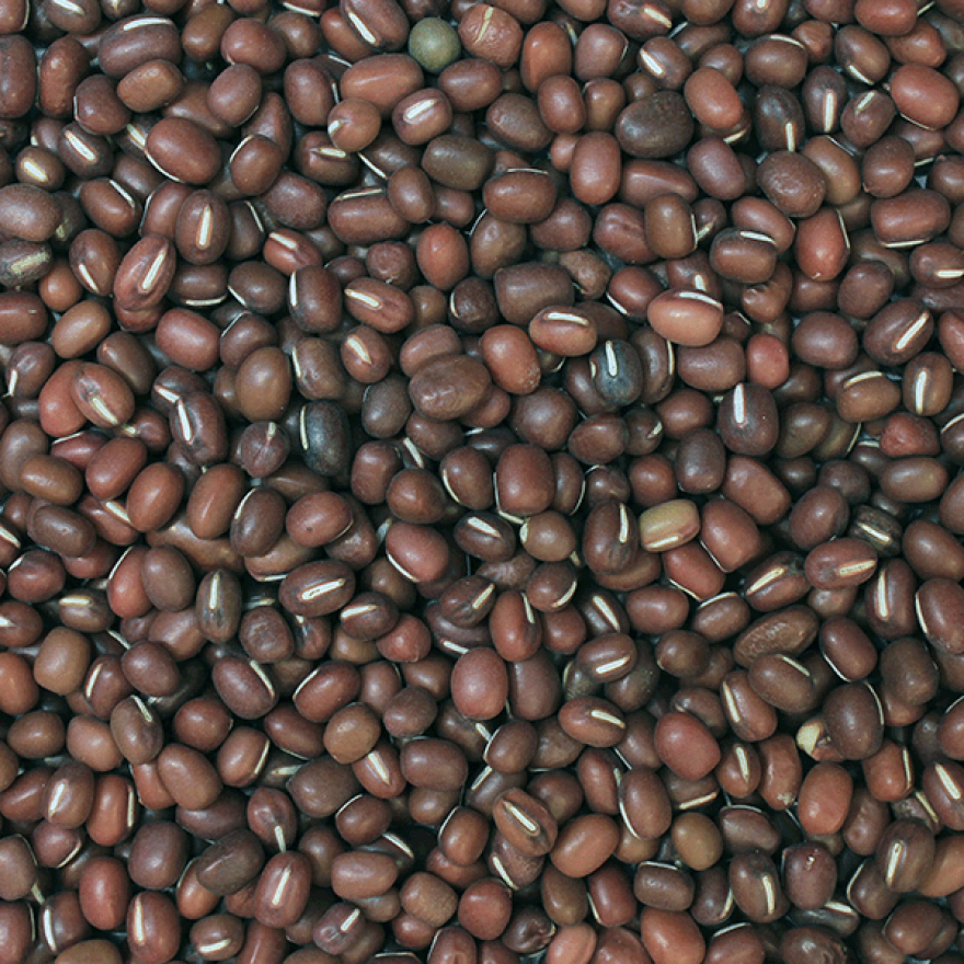 Aduki Beans | Organic