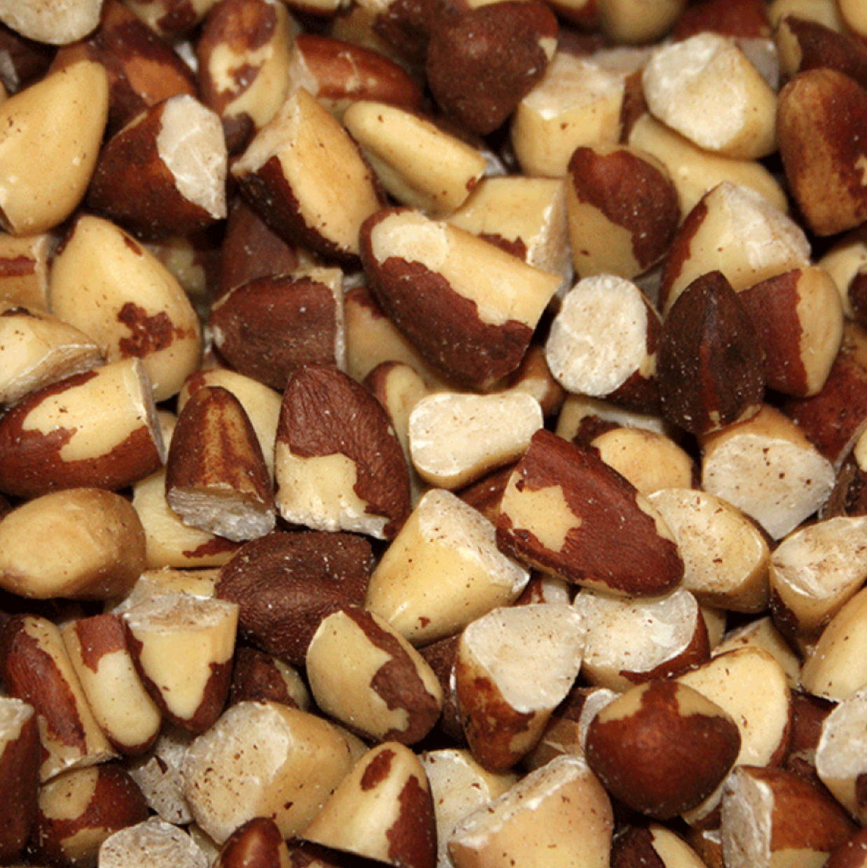 Broken Brazil Nuts 