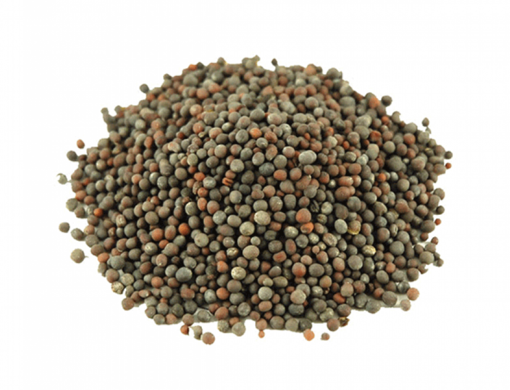 Black Mustard Seeds | Organic
