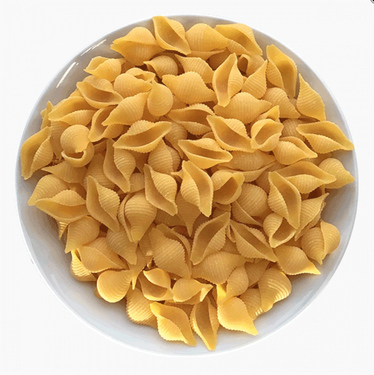 Conchiglie Pasta | Organic & Without Gluten