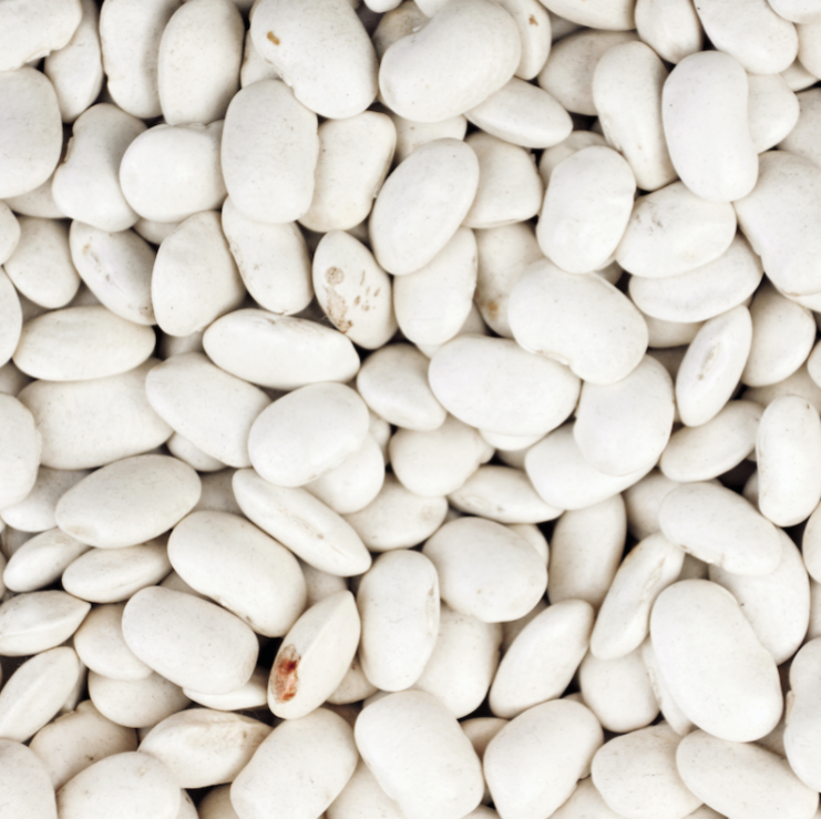 Butter Beans | 1kg | DISCOUNTED