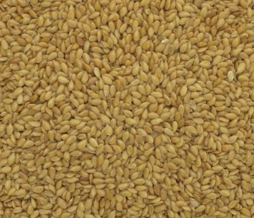 Flax Linseed | Organic