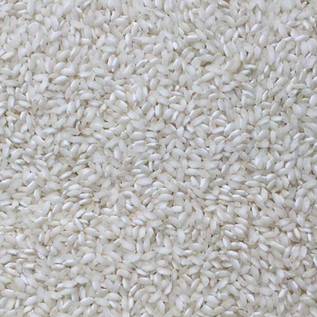 Arborio Risotto Rice | Organic