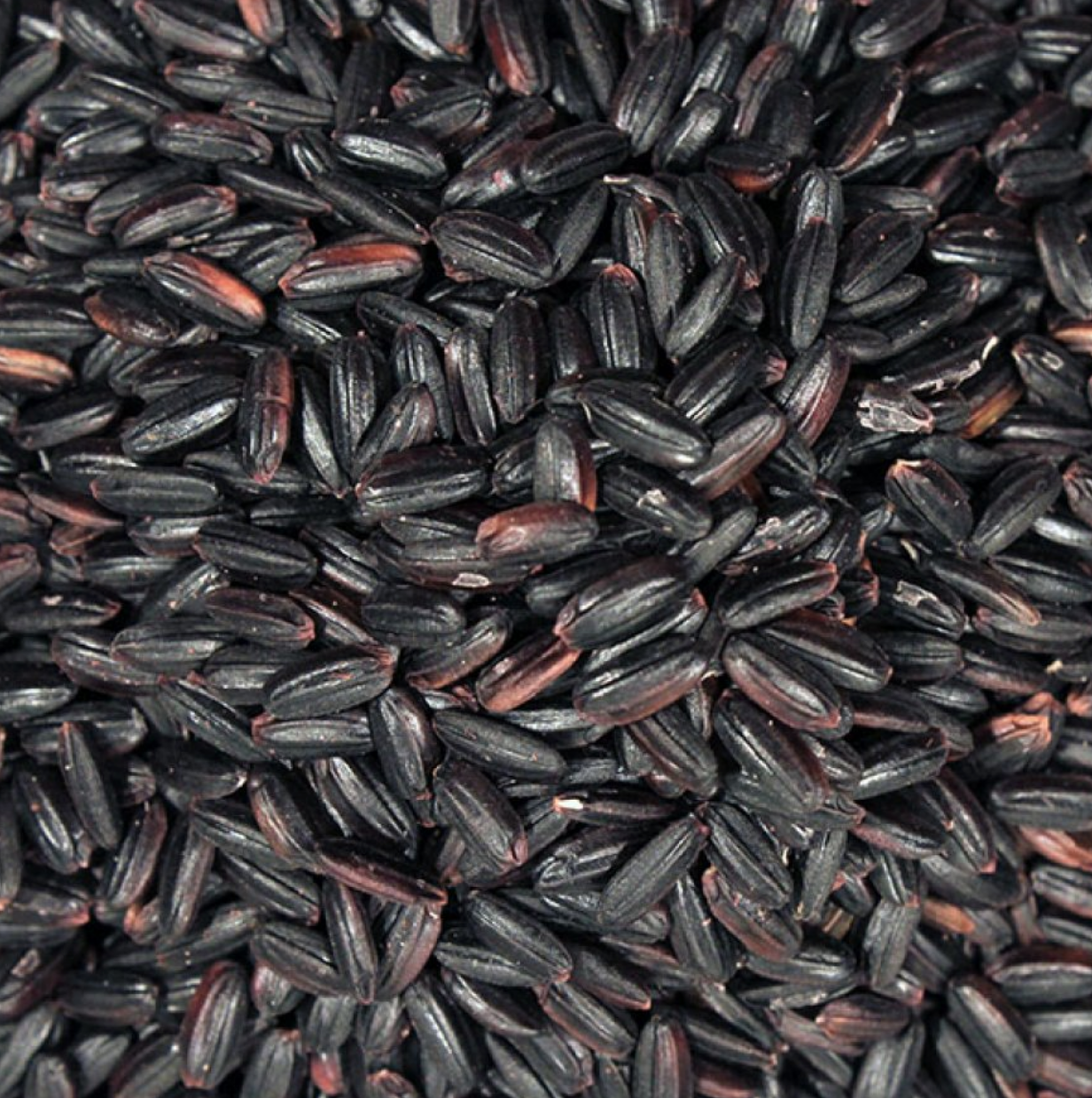 Black Rice | Organic | DISCOUNTED