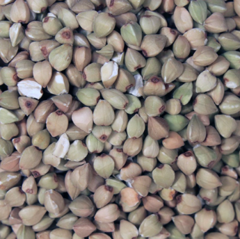 Buckwheat | Organic