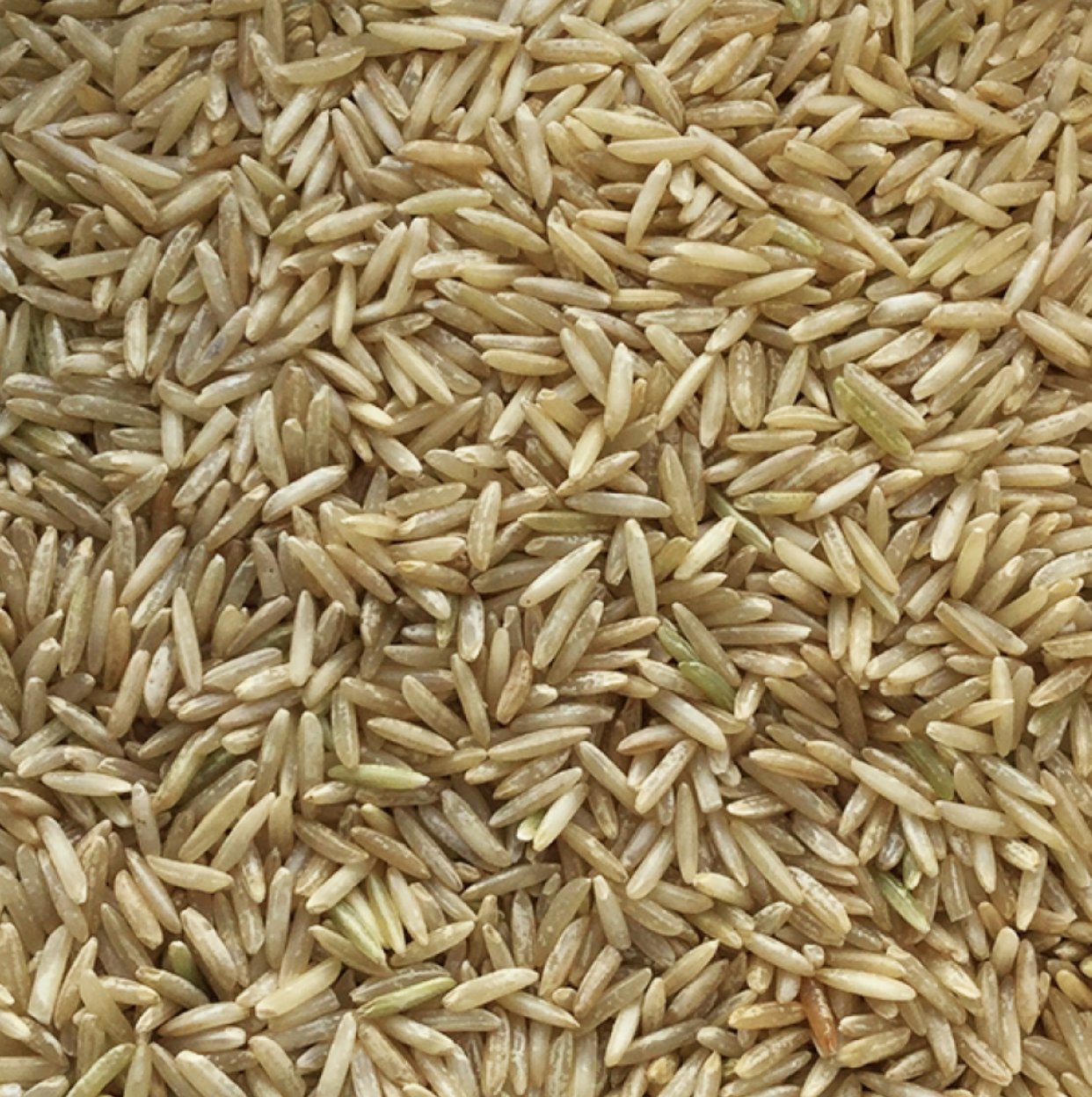 Long Grain Brown Rice | Organic