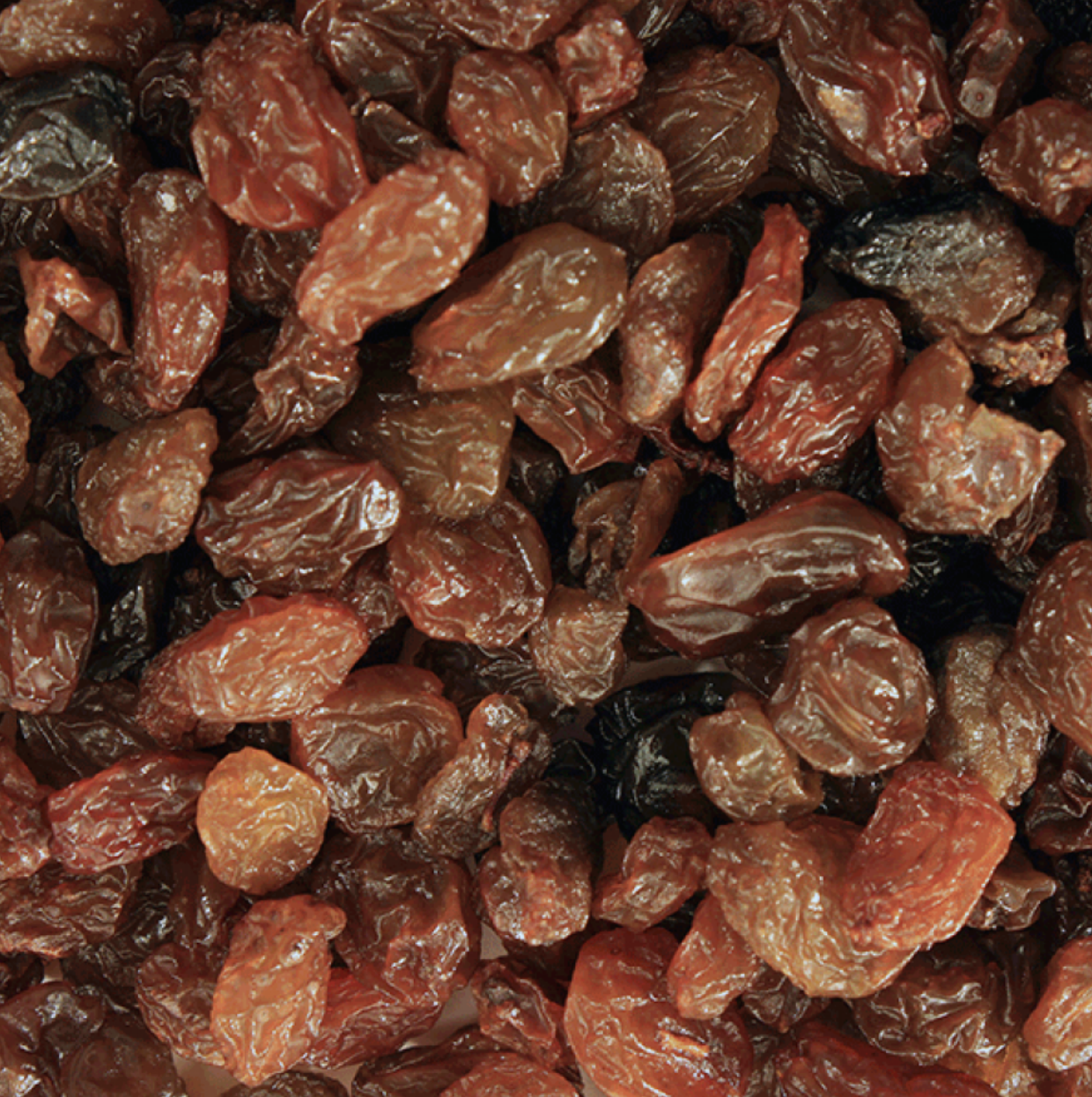Dried Sultanas | Organic
