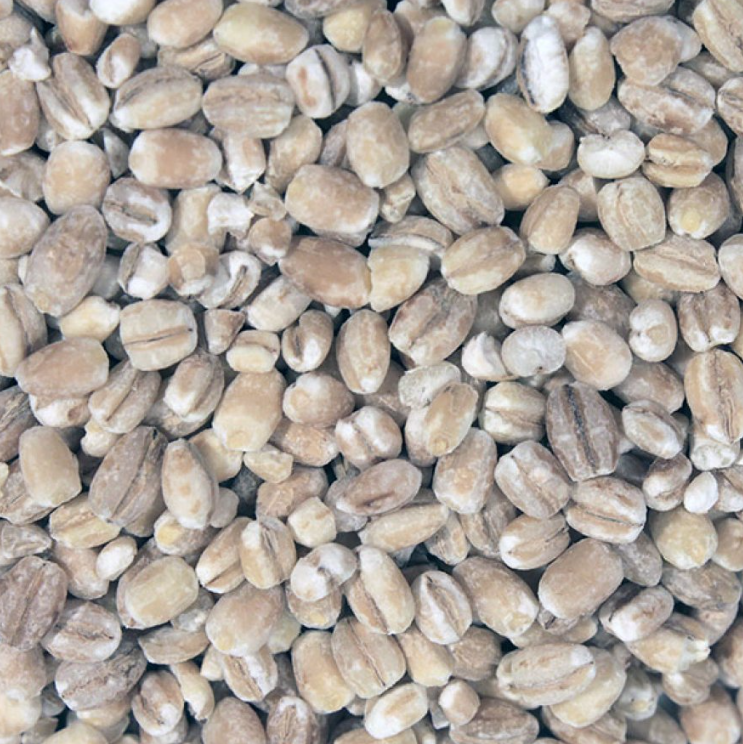 Pearl Barley | Organic