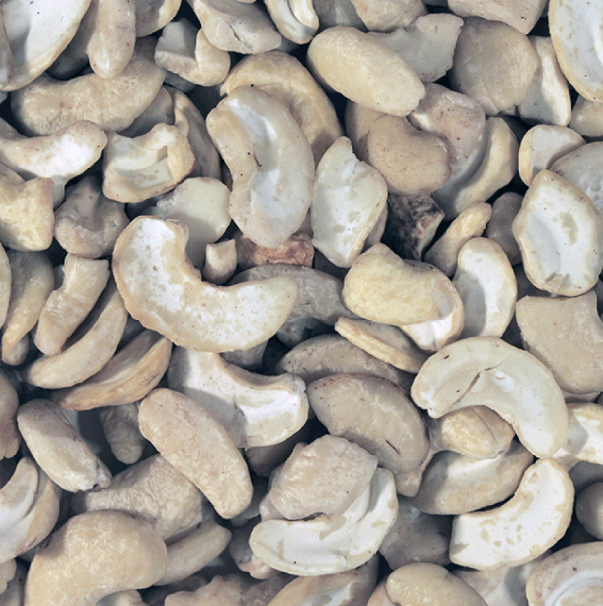 Cashew Nuts | DISCOUNTED