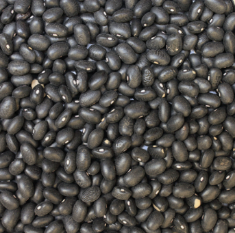 Black Turtle Beans | Organic