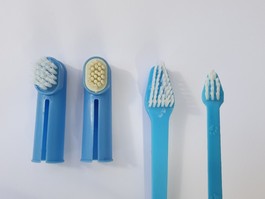  3 Tooth Brushes