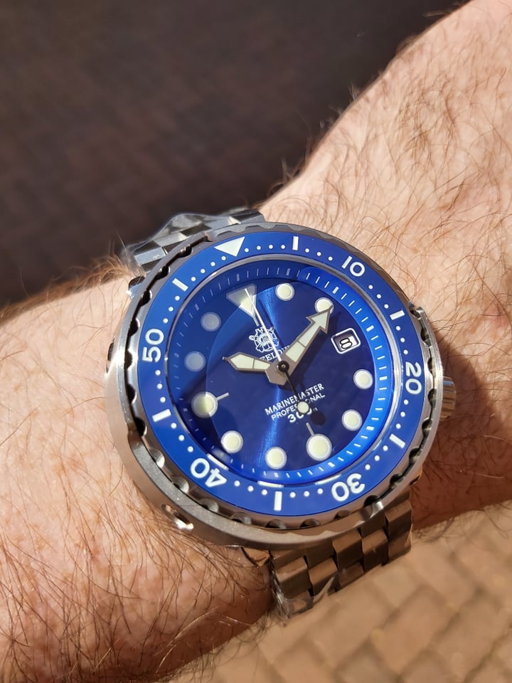 steeldive 1975 tuna