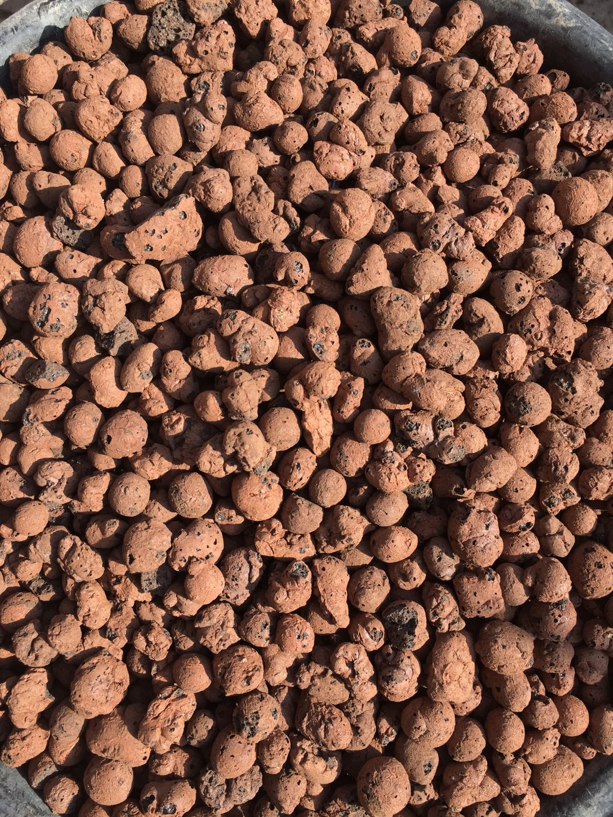 LECA - Light Expanded Clay Aggregate