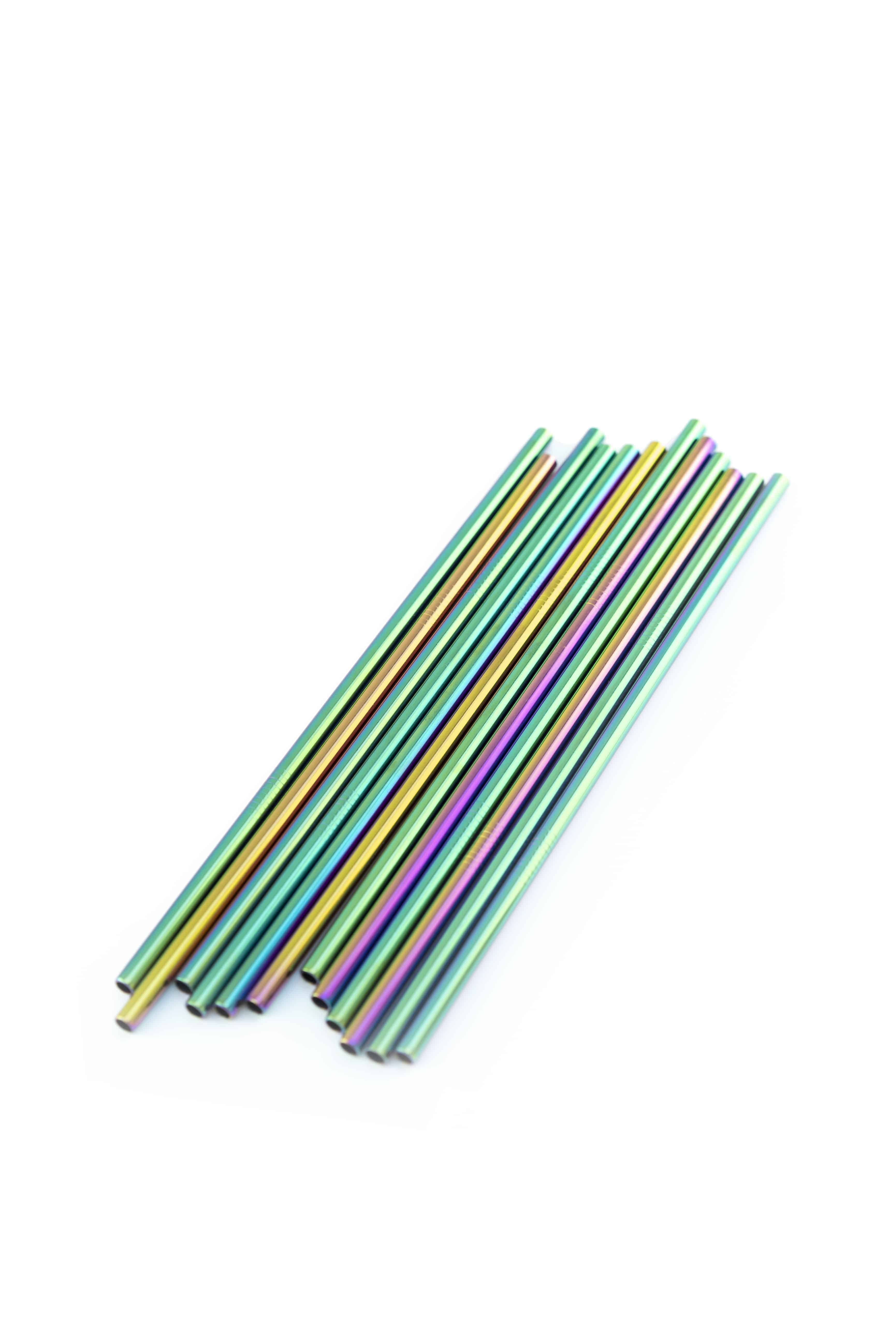 Reusable Stainless Steel Straw- Straight